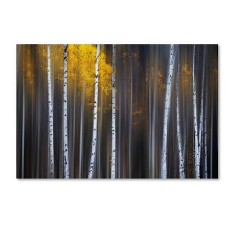 Andy Hu 'Curtain Of Fall' Canvas Art,16x24